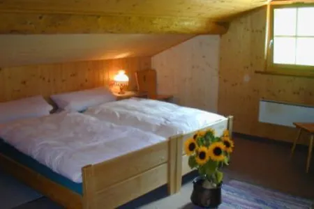 Muhleboden Apartment *